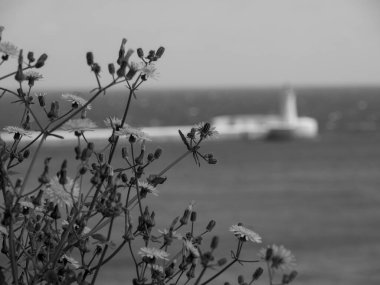 Akdeniz 'deki Malta Adası