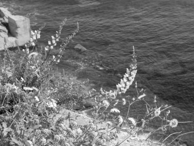 Akdeniz 'deki Malta Adası