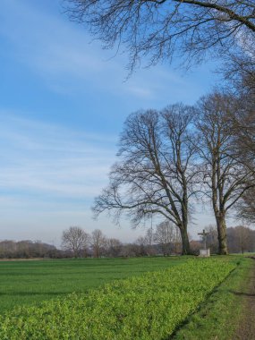 Almanya 'da haç ve ağaçlar