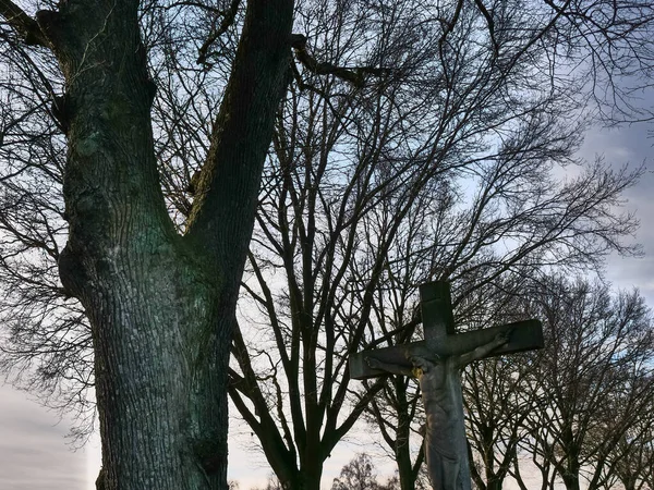 Cross Trees Germany — Stock Photo, Image