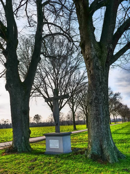 Croix Arbres Allemagne — Photo