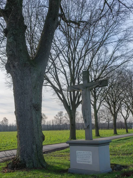 德国的十字花树 — 图库照片