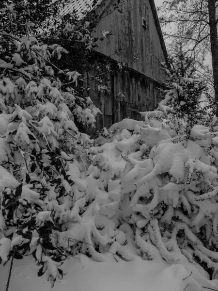 Winter Time German Muensterland — Stock Photo, Image