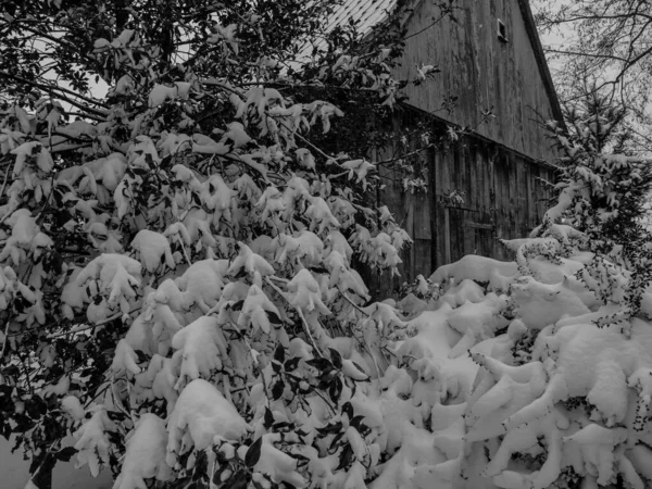 Winter Time German Muensterland — Stock Photo, Image