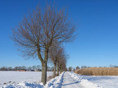 Westphalia 'da küçük bir köyde kış mevsimi