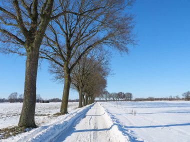 Westphalia 'da küçük bir köyde kış mevsimi