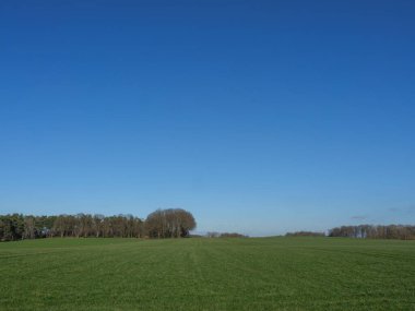 Westphalia 'da ilkbahar başları