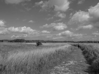 Kuzey denizindeki Alman Baltrum Adası.