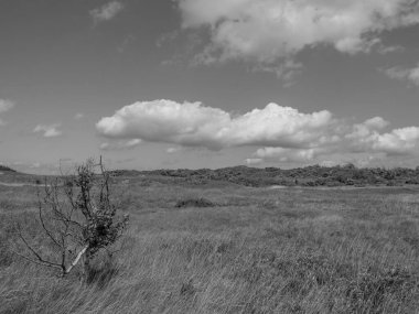 Kuzey denizindeki Alman Baltrum Adası.