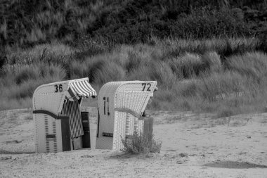 Kuzey Denizi 'ndeki Spiekeroog Adası