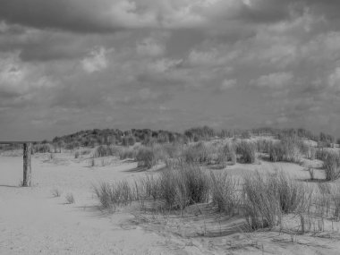 Kuzey Denizi 'ndeki Spiekeroog Adası