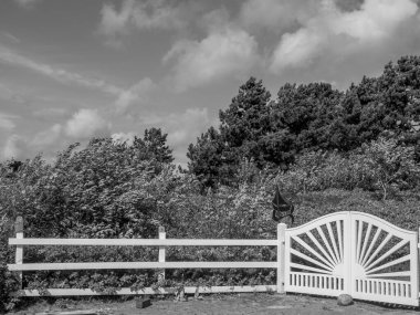Kuzey Denizi 'ndeki Spiekeroog Adası