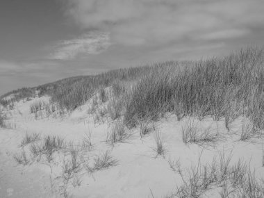 Kuzey Denizi 'ndeki Spiekeroog Adası