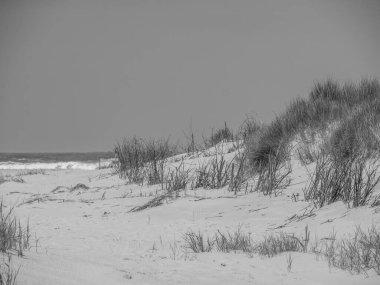 Kuzey denizindeki juist adası.