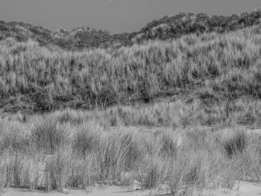 Kuzey Denizi 'ndeki Juist Adası