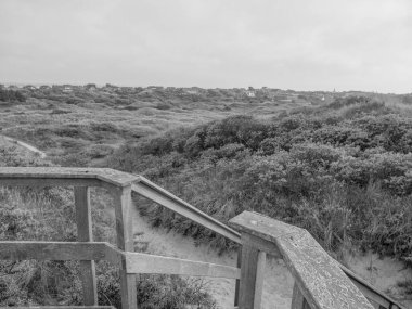 Kuzey Denizi 'ndeki Juist Adası