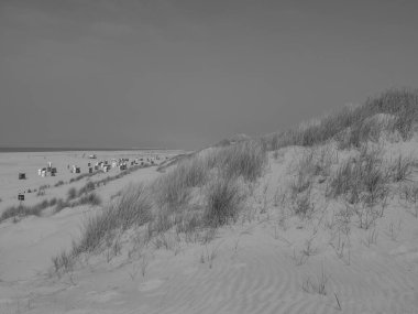 Kuzey Denizi 'ndeki Juist Adası