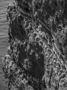 Kuzey denizindeki Alman adası Helgoland.