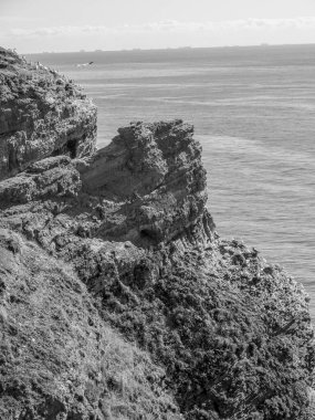 Kuzey denizindeki Alman adası Helgoland.