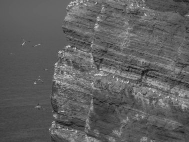 Kuzey denizindeki Alman adası Helgoland.