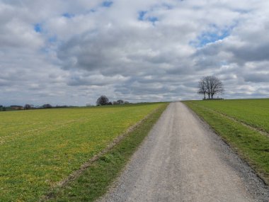 Kuzey denizindeki Alman adası Helgoland.