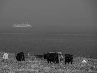 Kuzey denizindeki Alman adası Helgoland.