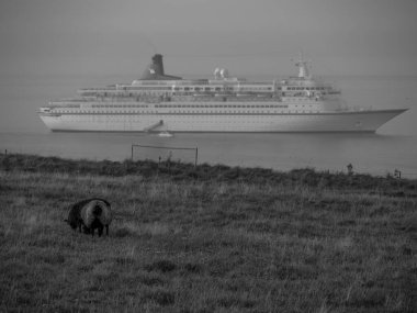 Kuzey denizindeki Alman adası Helgoland.