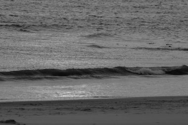 Alman Borkum Adası.