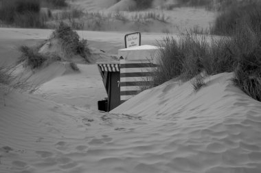 Alman Borkum Adası.