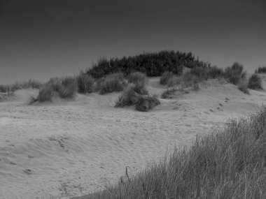 Kuzey denizindeki Borkum adası.