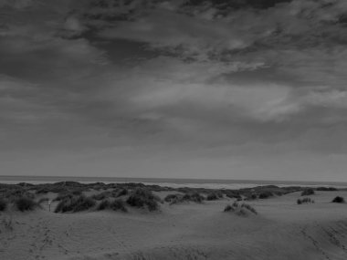 Kuzey denizindeki Borkum adası.