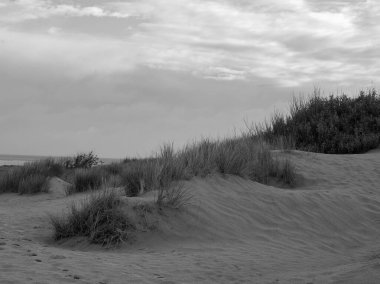 Kuzey denizindeki Borkum adası.