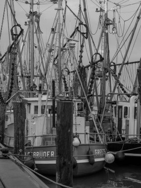 Alman Kuzey Sahili 'nde selamlar