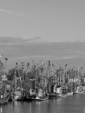 Alman Kuzey Sahili 'nde selamlar