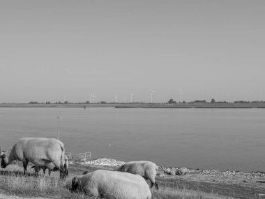 Ditzum ve Ems 'in küçük köyü.