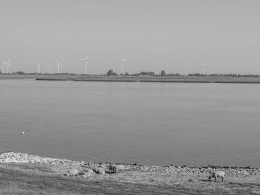 Ditzum ve Ems 'in küçük köyü.