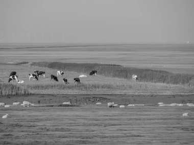 Ditzum ve Ems 'in küçük köyü.