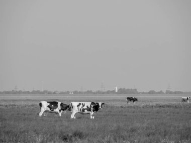 Ditzum ve Ems 'in küçük köyü.
