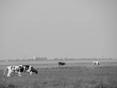 Ditzum ve Ems 'in küçük köyü.