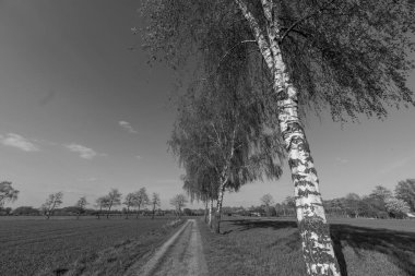 Alman muensterland 'inde Borken şehrinde bahar geldi.