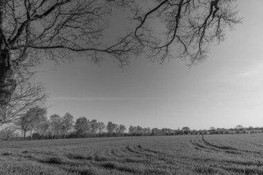 Alman muensterland 'inde Borken şehrinde bahar geldi.