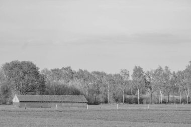 Alman muensterland 'inde Borken şehrinde bahar geldi.