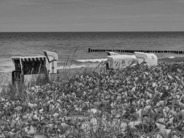 Almanya 'da Baltık Denizi' nde Ahrenshoop