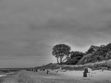 Almanya 'da Baltık Denizi' nde Ahrenshoop