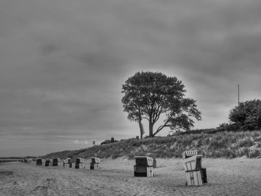Almanya 'da Baltık Denizi' nde Ahrenshoop