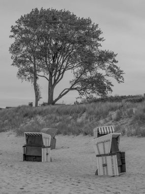 Almanya 'da Baltık Denizi' nde Ahrenshoop