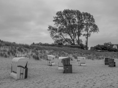 Almanya 'da Baltık Denizi' nde Ahrenshoop