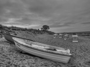 Almanya 'da Baltık Denizi' nde Ahrenshoop