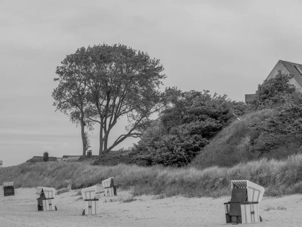 Almanya 'da Baltık Denizi' nde Ahrenshoop