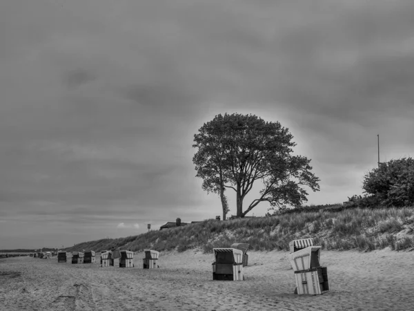 Almanya 'da Baltık Denizi' nde Ahrenshoop